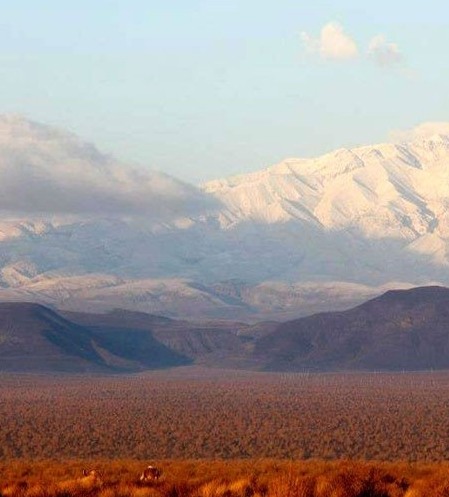 دشت سمسور