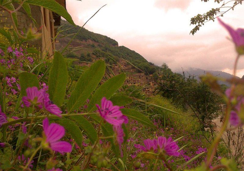 پارک جنگلی ماسوله