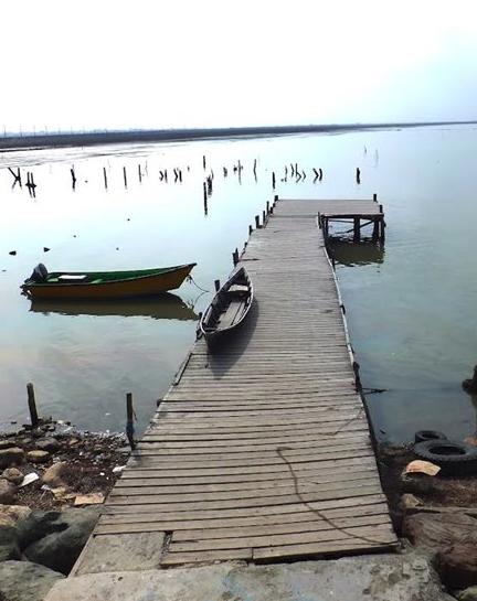 جزیره آشوراده