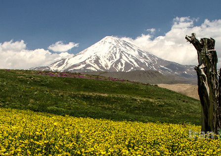 دشت لار – تهران